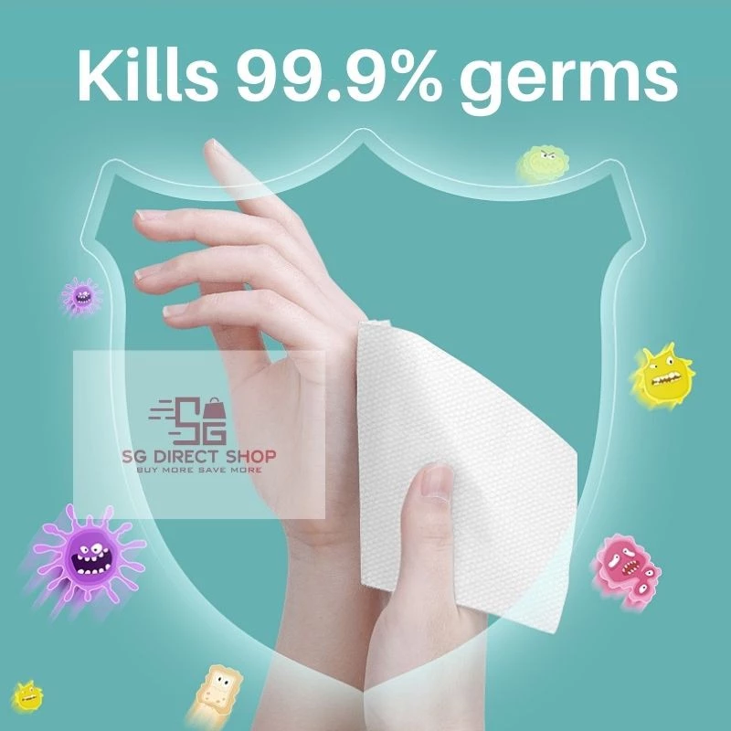Antibacterial Wet Wipes 30sheets