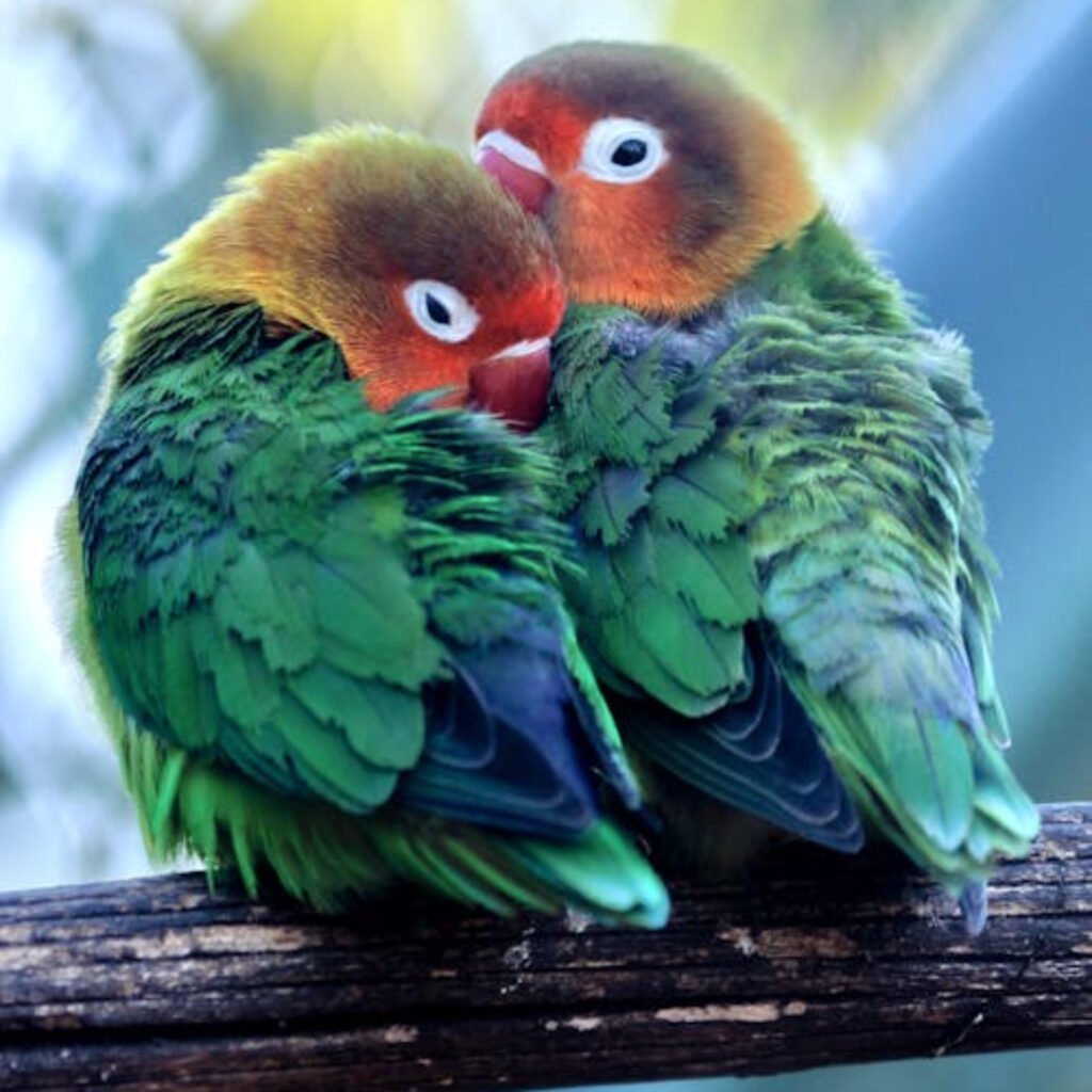 Khám Phá Thế Giới Vang 24K 1 Chi Bao Nhieu Nơi Giải Trí Không Giới Hạn