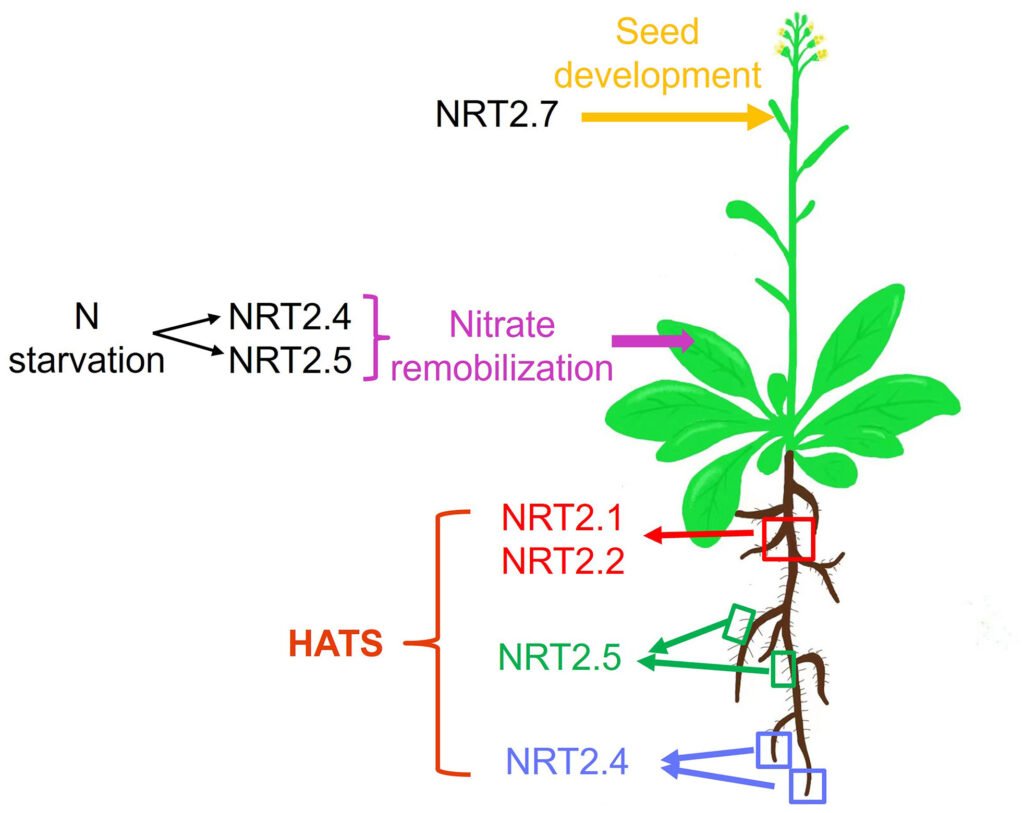 Khám Phá Xổ Số Thứ 7 Miền Bắc – Bí Mật Đằng Sau Công Nghệ Tiên Tiến