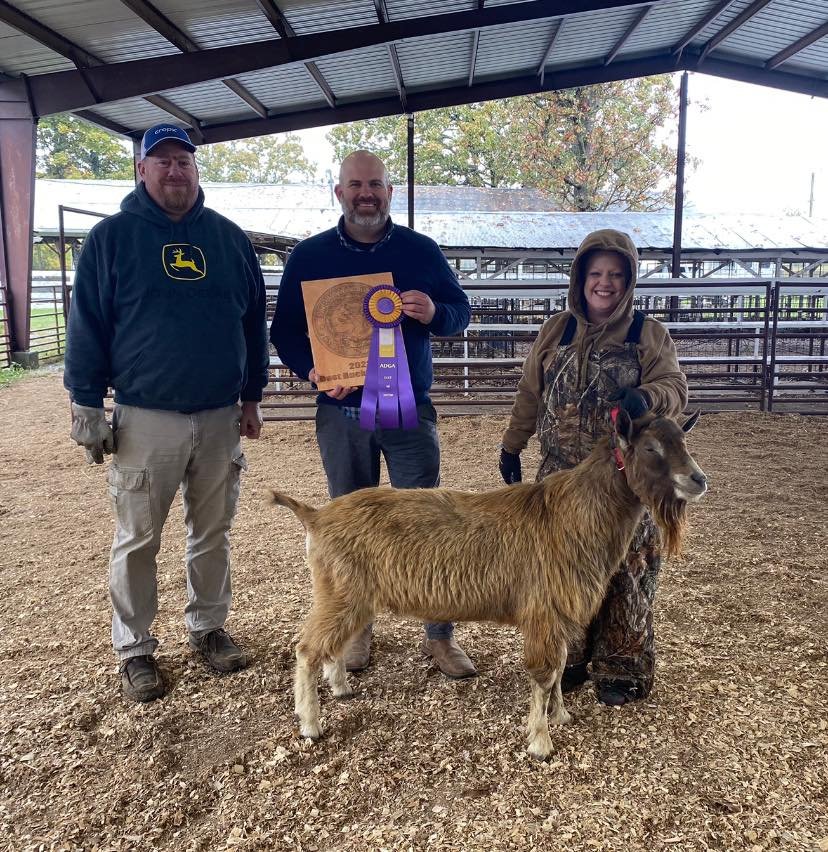 Khám Phá Thế Giới Đầy Hấp Dẫn Của Xes Viêt Nam Công Nghệ Cá Cược Đỉnh Cao