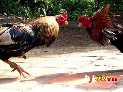 Phim Mat Moi Nhat Khám Phá Thế Giới Giải Trí Độc Đáo Tại Nền Tảng Này