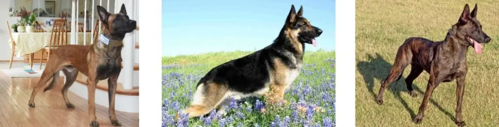 Khám Phá Tiềm Năng Công Nghệ Với Https K9Cc.Tech Tương Lai Của Kết Nối Thông Minh