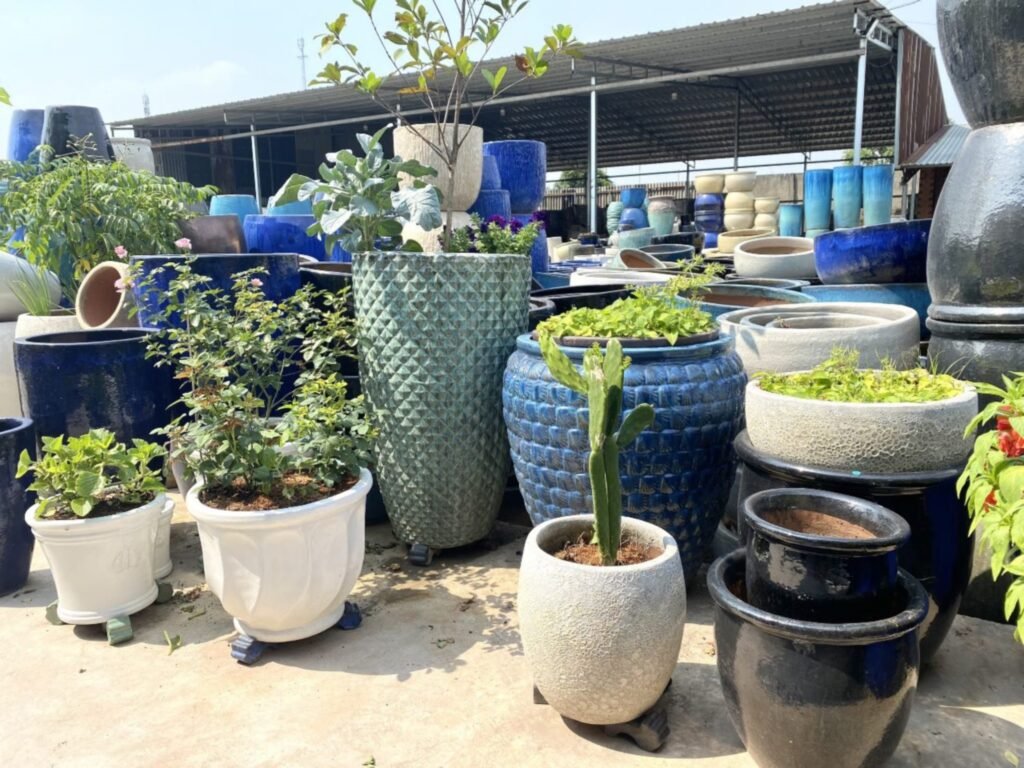 Xổ Số Kiến Thiết Đài Miền Bắc Khám Phá Thế Giới Giải Trí Đỉnh Cao