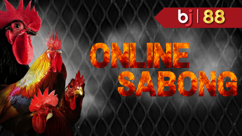 Khám Phá Thế Giới Thú Vị Của Dịch Vụ Nhà Đất – Nơi Trải Nghiệm Đỉnh Cao